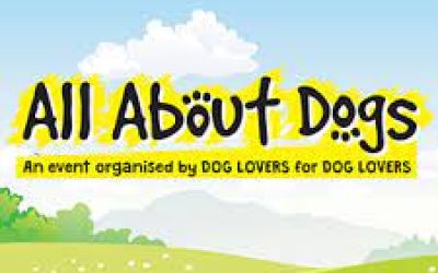 All About Dogs